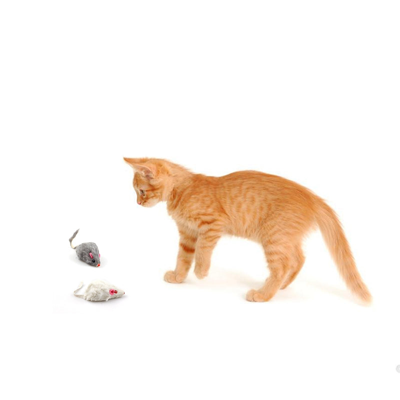 OLiz12Pcs-False-Mouse-Cat-Pet-Toys-Cat-Long-Haired-Tail-Mice-Sound-Rattling-Soft-Real-Rabbit.jpg