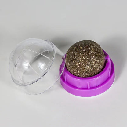 iE29Catnip-Wall-Ball-Cats-Toys-Rotatable-Licking-Natural-Catnip-Toy-Teeth-Cleaning-Freshen-Breath-Remove-Hair.jpg