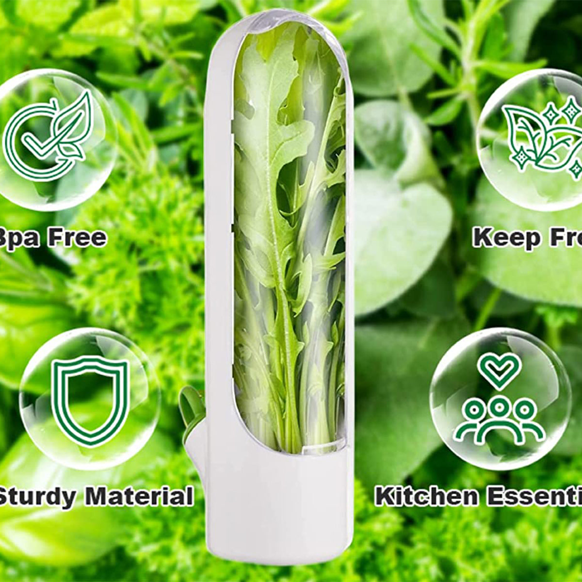 5LwJHerb-Saver-Storage-Container-Fresh-Herb-Keeper-Vanilla-Vegetables-Fresh-Preservation-Bottle-for-Refrigerator-Kitchen-Gadgets.jpg