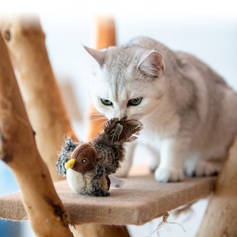 jRSkPet-Cat-Toy-Sparrow-Insects-Mouse-Shaped-Bird-Simulation-Sound-Oft-Stuffed-Toy-Pet-Interactive-Sounding.jpg