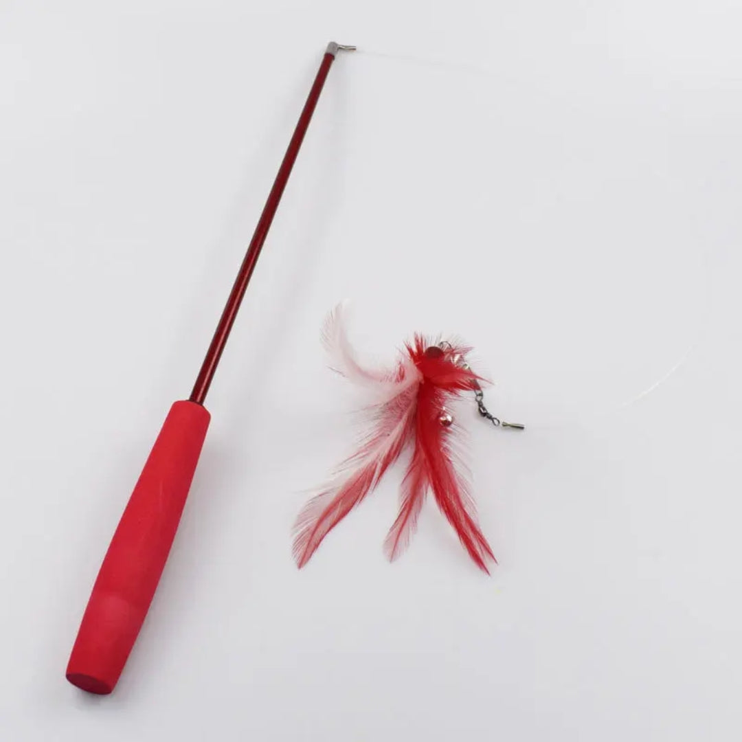 3DrTPet-cat-toy-feather-replacement-head-teasing-cat-rod-fishing-rod-caterpillar-teasing-cat-toy-set.jpg