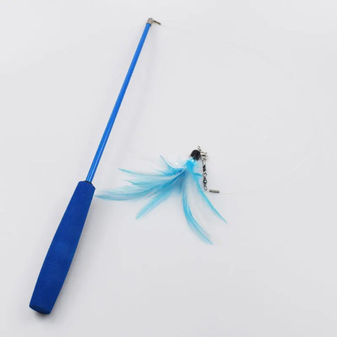 tC5CPet-cat-toy-feather-replacement-head-teasing-cat-rod-fishing-rod-caterpillar-teasing-cat-toy-set.jpg