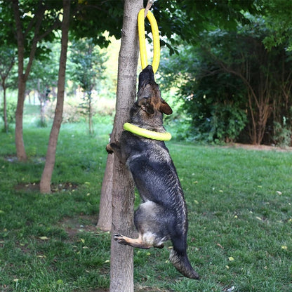 t3RO18-27CM-Dog-Toys-for-Large-Dogs-EVA-Interactive-Training-Ring-Puller-Resistant-for-Dogs-Pet.jpg