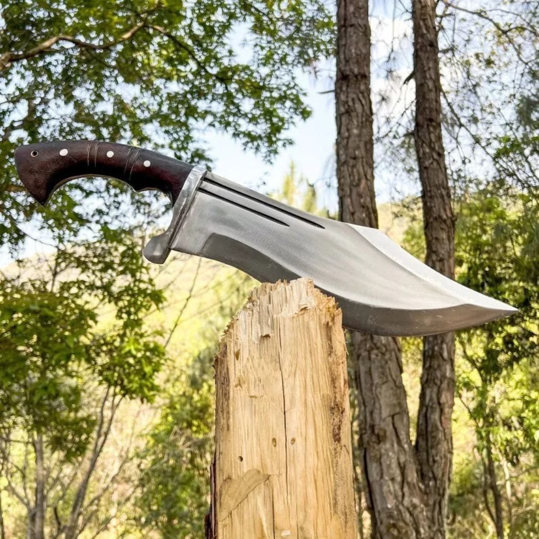 Custom Handmade Fixed Blade Bowie Knife Tactical Machete Knife Survival Outdoor Camping Knife Full T