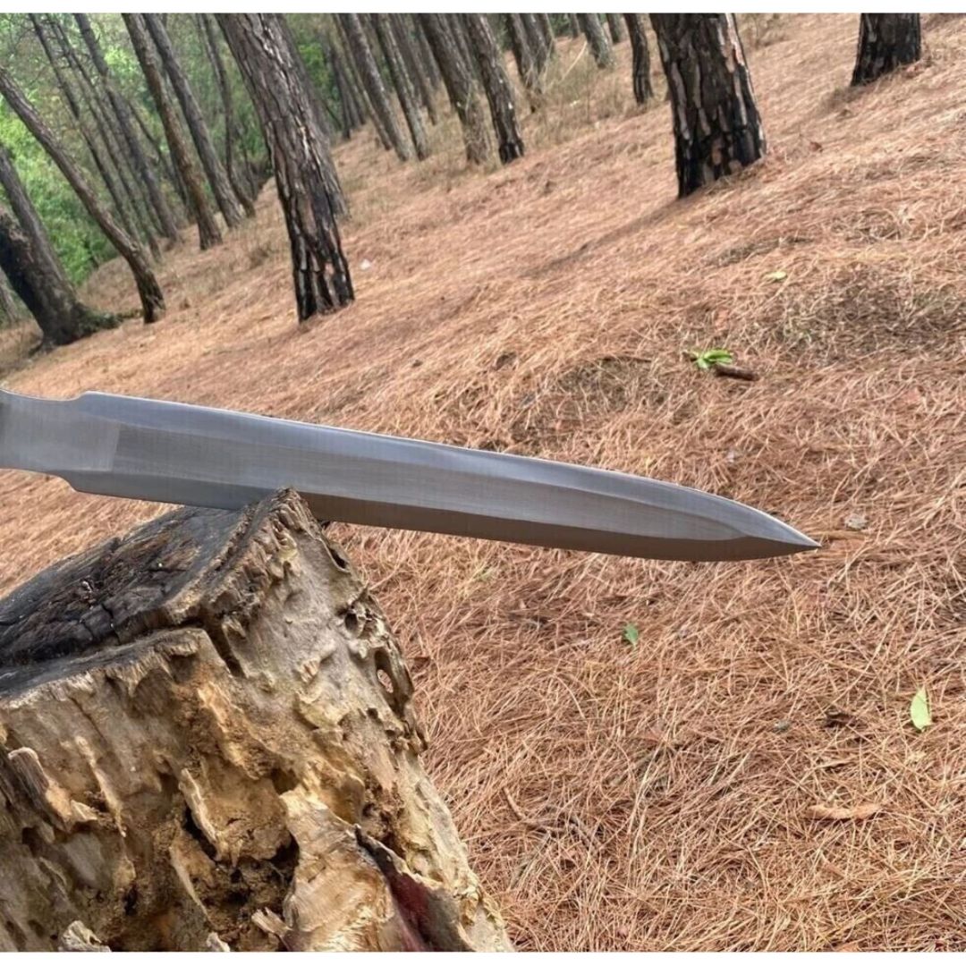 Double Edged Full Tang Custom Handmade Sword Carbon Steel Survival Viking Sword (4).jpg