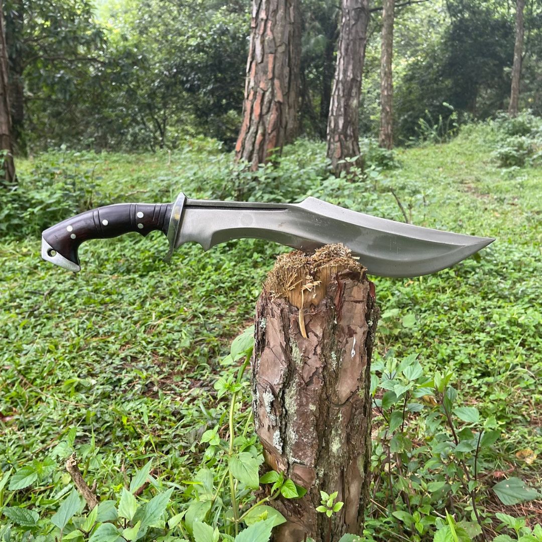 Custom Handmade Carbon Steel Bowie Knife Fixed Blade Full Tang Hunting Survival (2).jpg