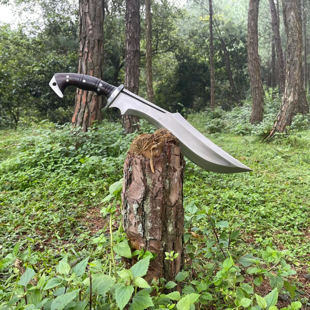 Custom Handmade Carbon Steel Bowie Knife Fixed Blade Full Tang Hunting Survival (8).jpg