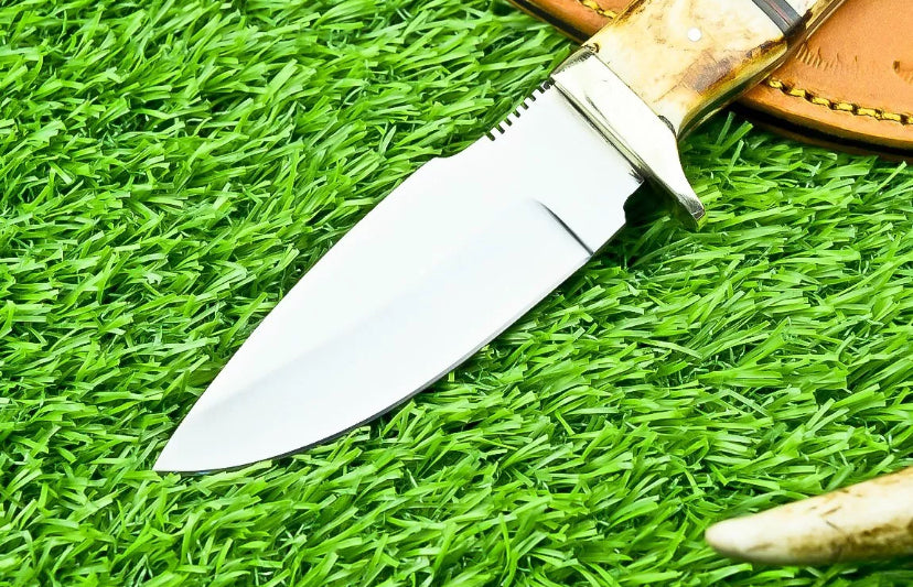 IMG8653PNG