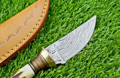 IMG1030PNG
