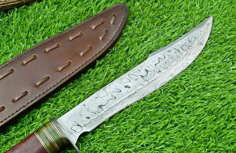 IMG1182PNG