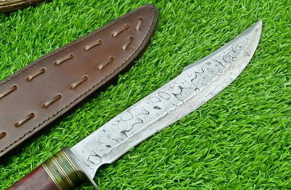 IMG1182PNG