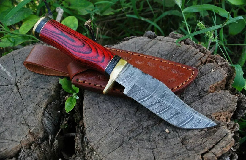 IMG_1192.PNG