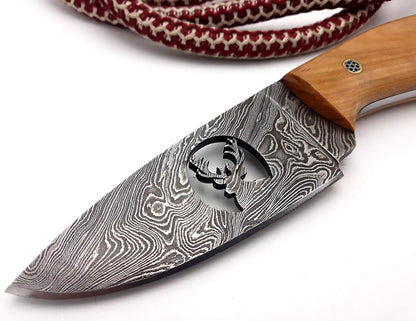 ALFARI Handmade Damascus Steel Fixed Blade Skinning Hunting Knife With Hunting Best For Outdoor Cam 1