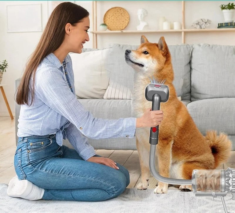 Dyson-Compatible Dog Grooming Kit for V7-V15 | Pet Hair Brush Attachment