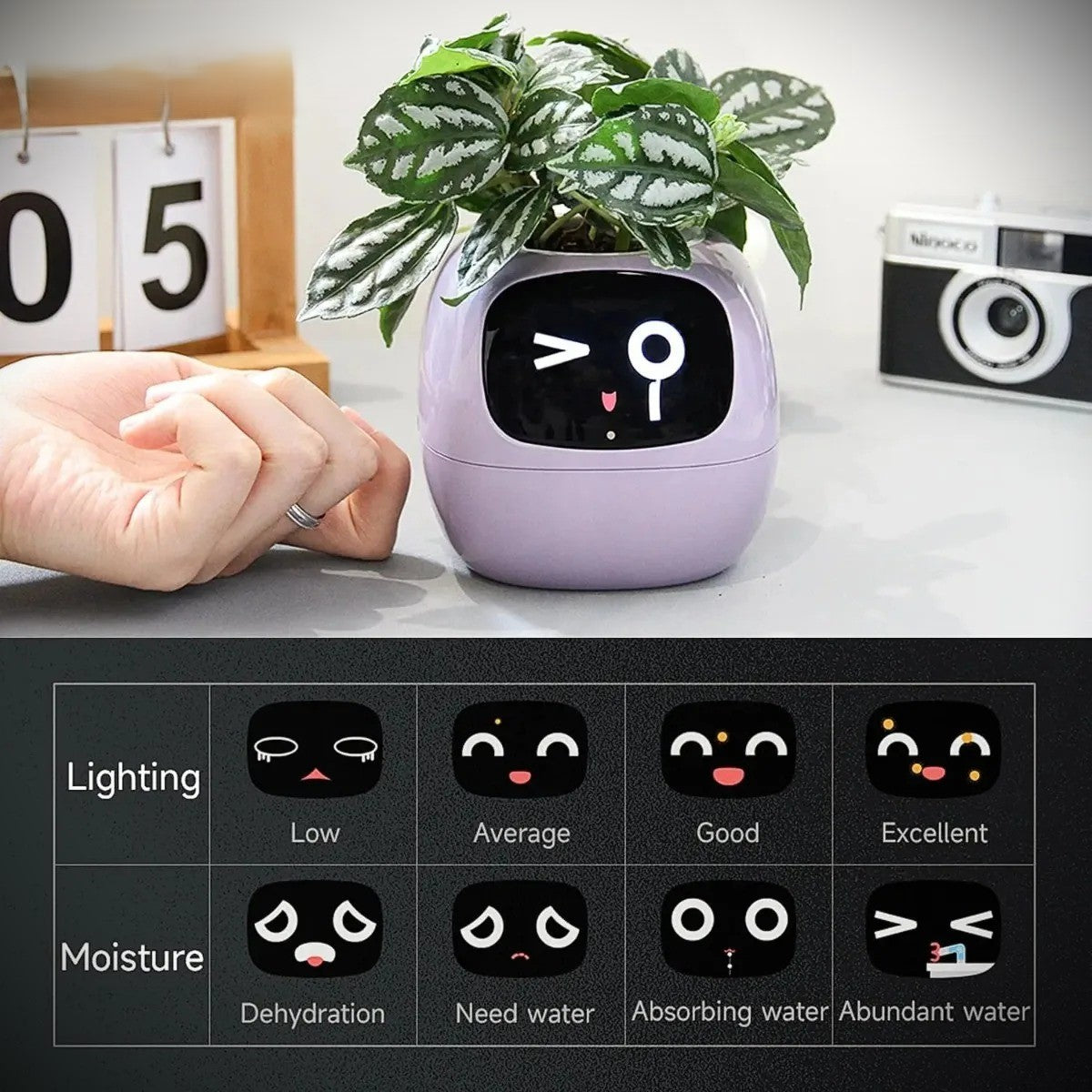 AI Smart Planter With 7 Sensors  49 Expressions For Easy Plant Care 2