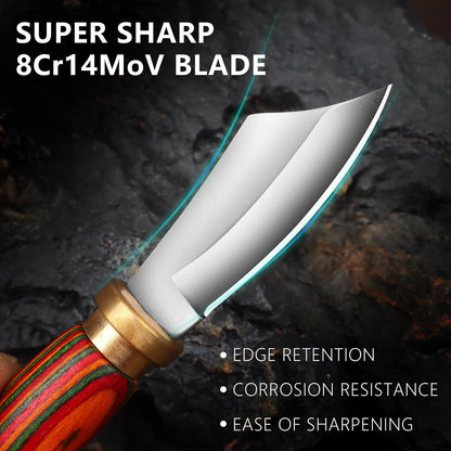 Mini Keychain Knife 335 Inch Stainless Steel Fixed Blade Knife With Leather Sheath Wood Handle EDC  3