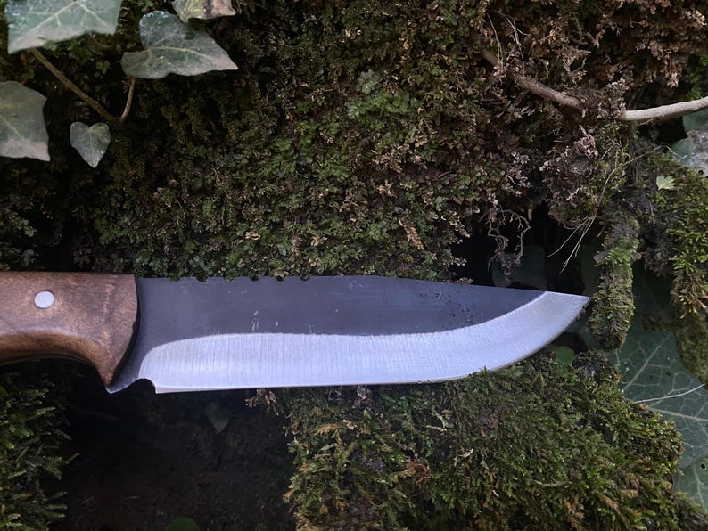 Premium Handmade Hunting Knife With Walnut HandleReal Bowie Knife With SheathPerfect For Camping Tr 2