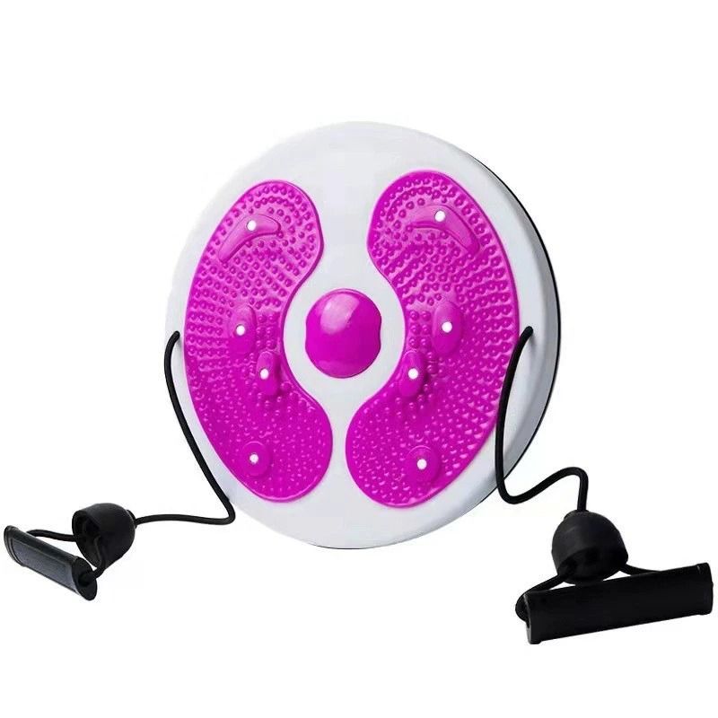 MultiFunctional Waist Twisting Balance Disc