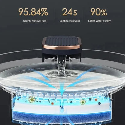 Hydration Station for Pets  Buy Now