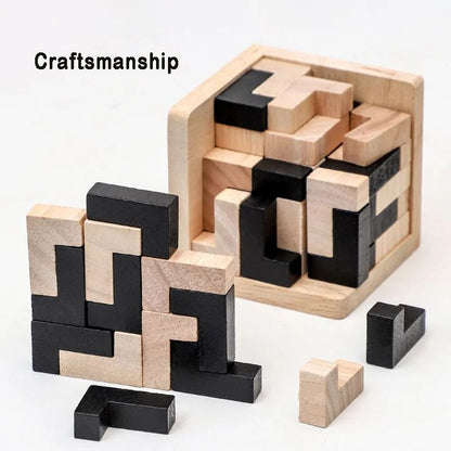 Buy Educational Brain Teaser Toy