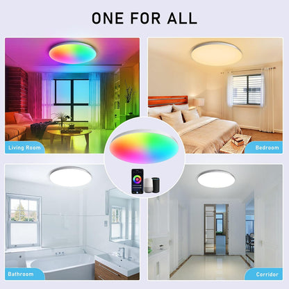 Smart LED Ceiling Lamp with WiFi App  Voice Control Alexa  Google Home Compatible