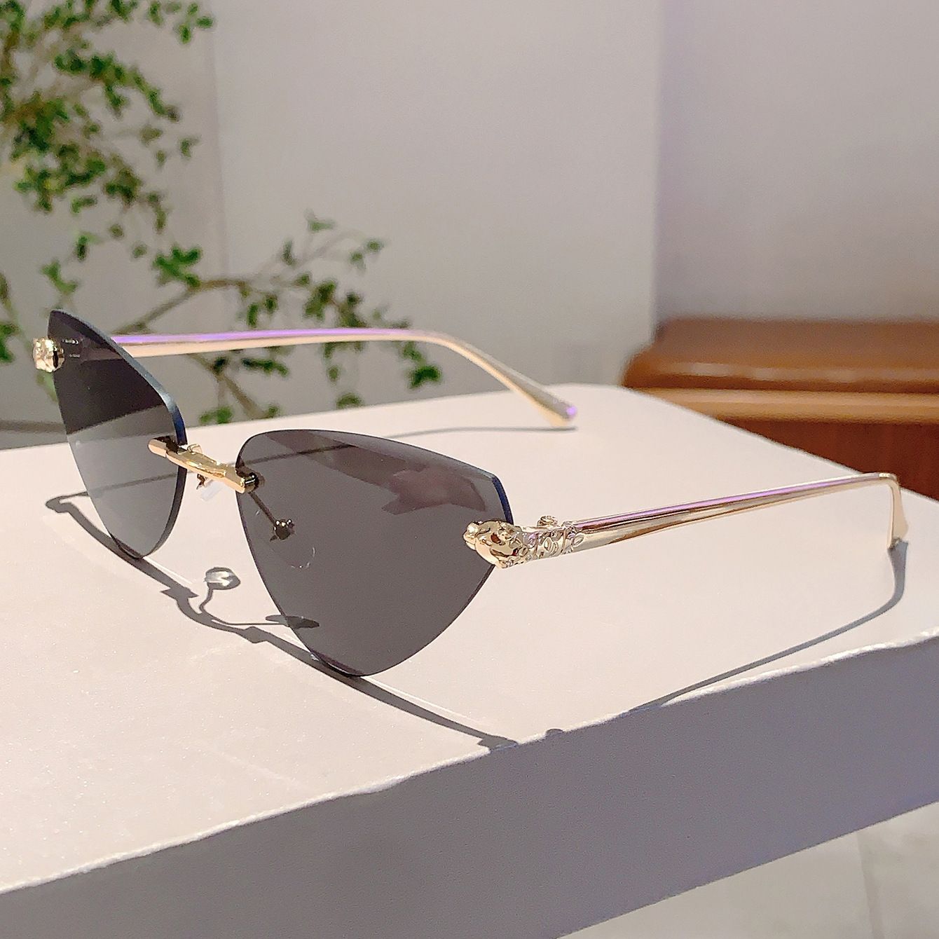 Vintage Rimless Triangle Cat Eye Sunglasses Luxury Designer Sun Glasses for Women  Men