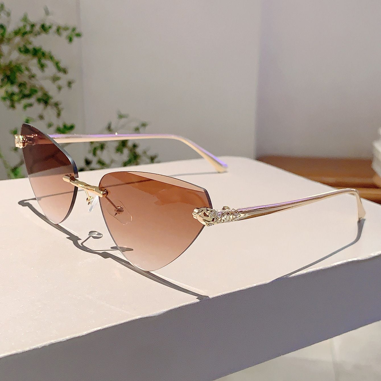 Vintage Rimless Triangle Cat Eye Sunglasses Luxury Designer Sun Glasses for Women  Men