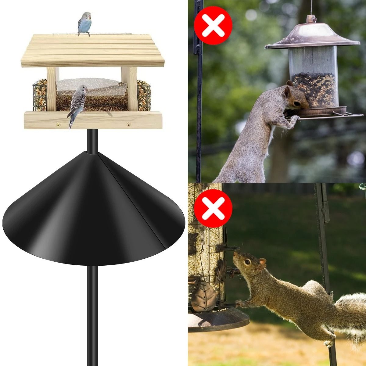 HeavyDuty Squirrel Guard for Feeders