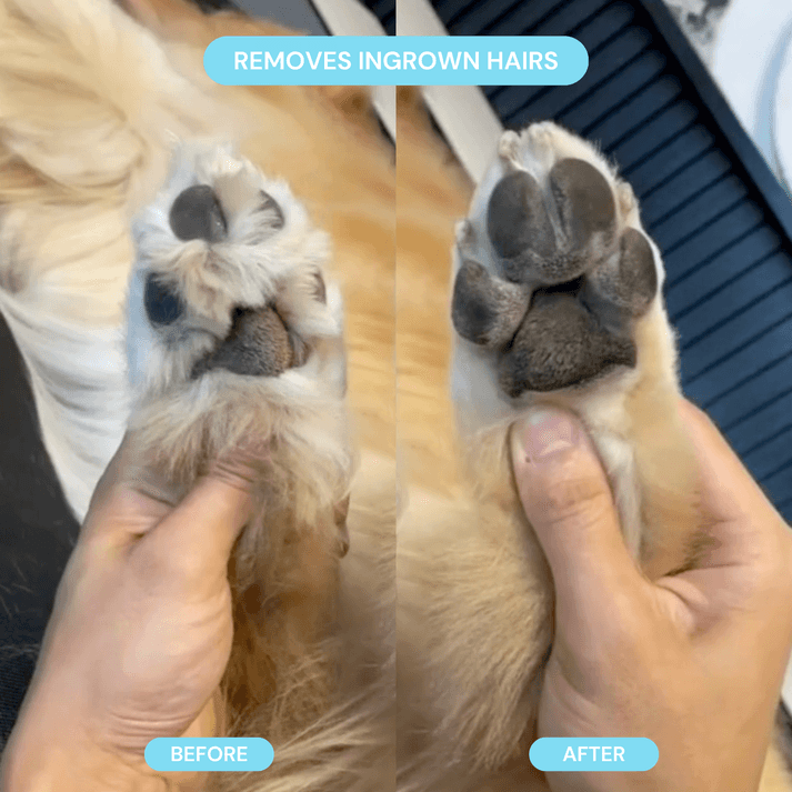 Pet Groomer With LED Light Cordless Nail Grinder Shaver For Safe Paw Trimming  Grooming Gift For Pe 4