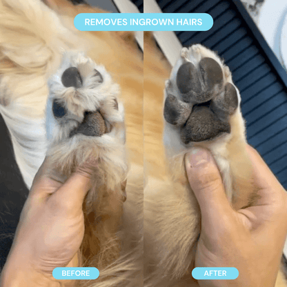 Pet Groomer With LED Light Cordless Nail Grinder Shaver For Safe Paw Trimming  Grooming Gift For Pe 4