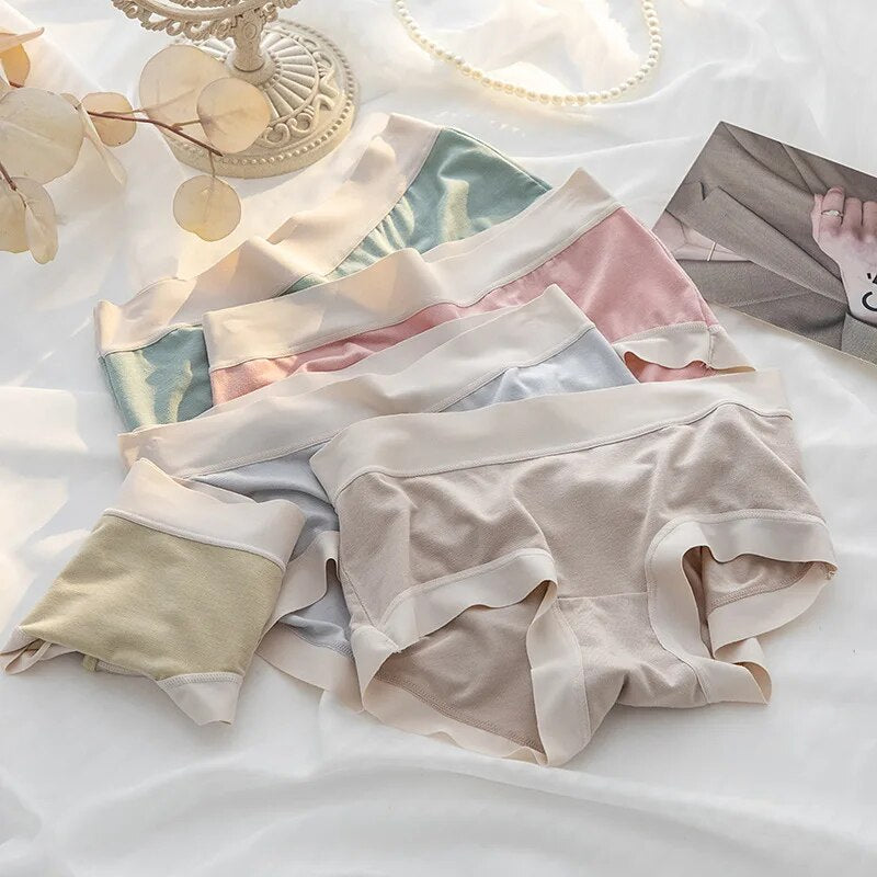 Womens Modal Panties 4 Pack Seamless Underwear Mid Rise Comfortable And Sexy Lingerie For Everyday  2