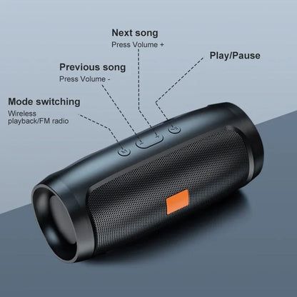 Bluetooth Speaker with FM Radio and Mic