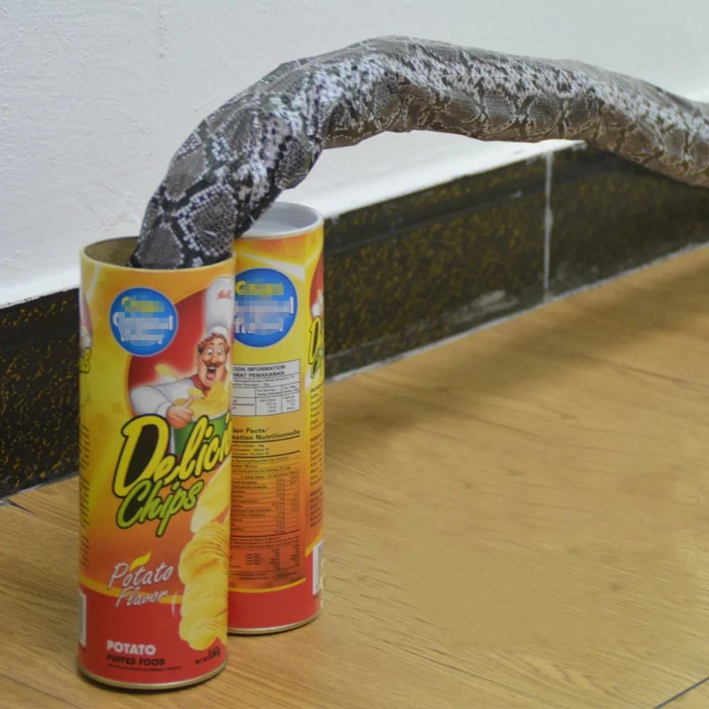 Magic trick snake in chip can