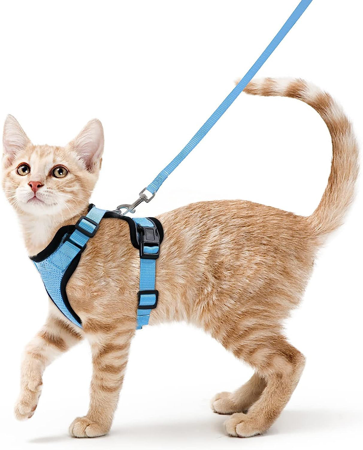 Adjustable Cat Harness And Leash For Walking EscapeProof EasyWear Design For Safe Outdoor Adventure 6