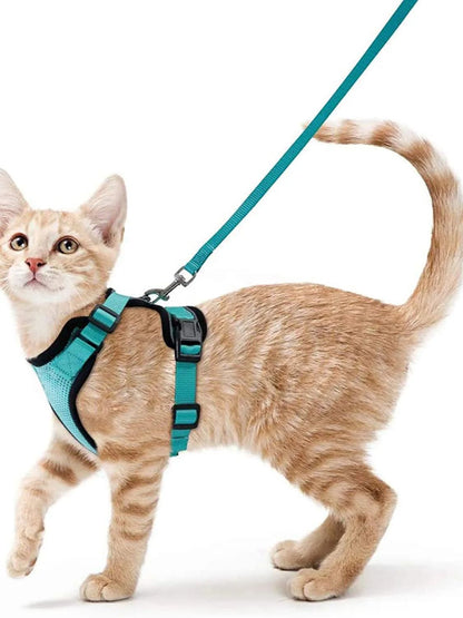 Adjustable Cat Harness And Leash For Walking EscapeProof EasyWear Design For Safe Outdoor Adventure 10