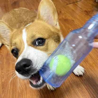 Durable TPR Chew Toy For Dogs  BiteResistant Beer Bottle With Squeaky Tennis Ball  Interactive Teet 2