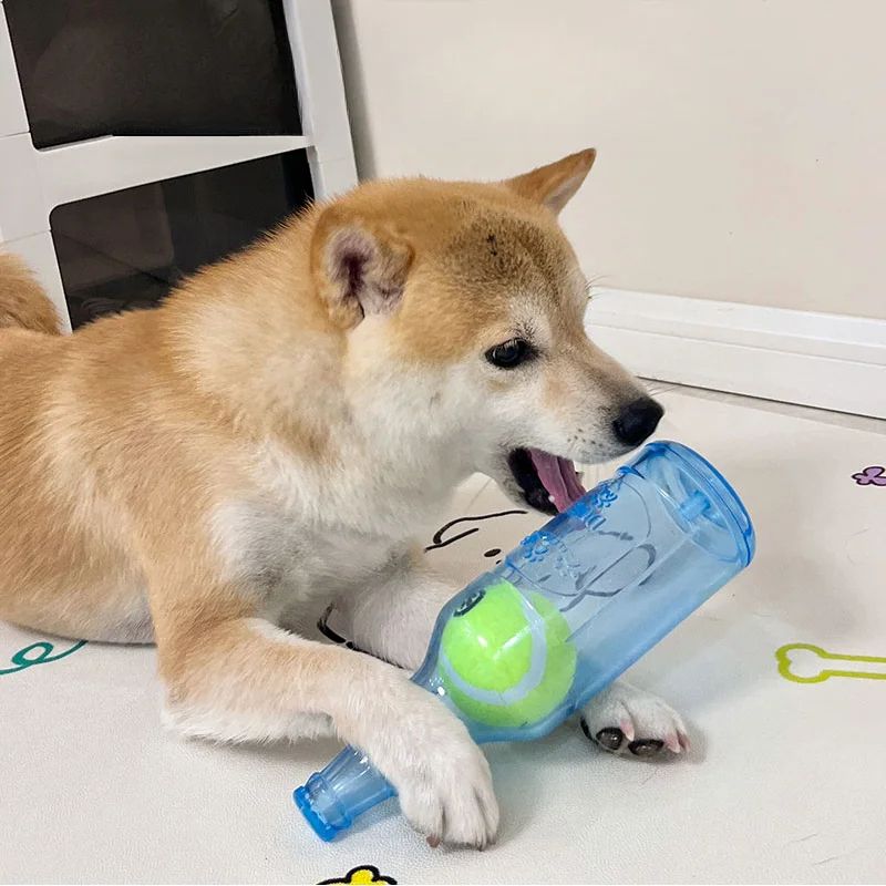 Durable TPR Chew Toy for Dogs Bite-Resistant Beer Bottle with Squeaky Tennis Ball – Interactive Teeth Grinding Puppy Toy