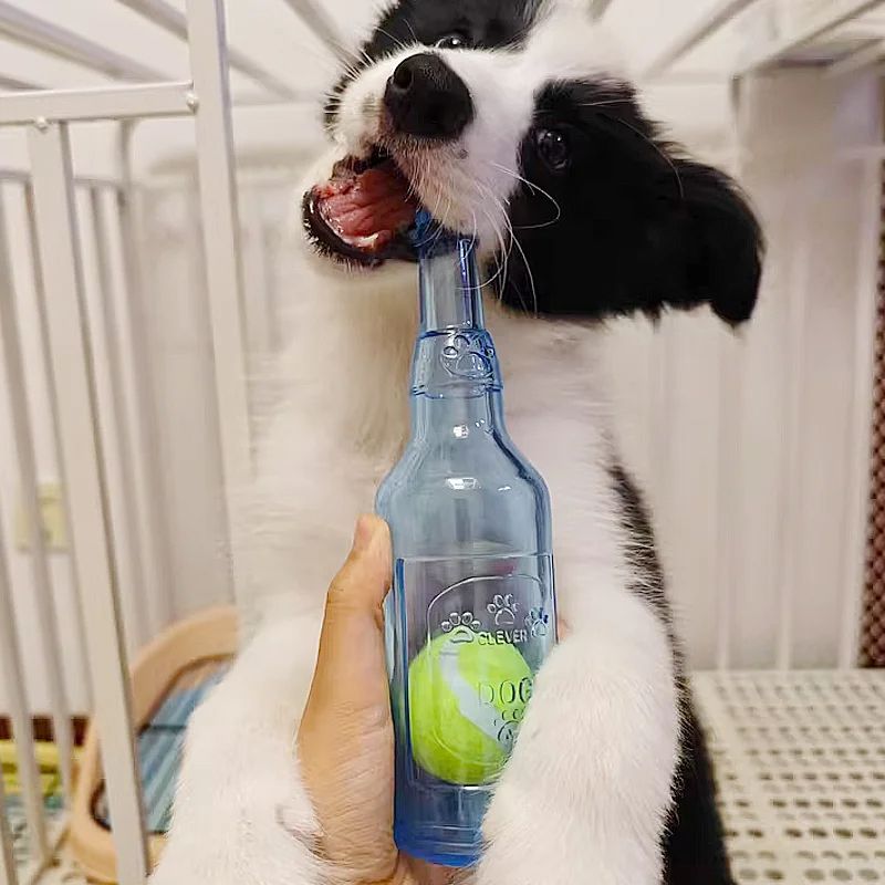 Durable TPR Chew Toy For Dogs  BiteResistant Beer Bottle With Squeaky Tennis Ball  Interactive Teet 5
