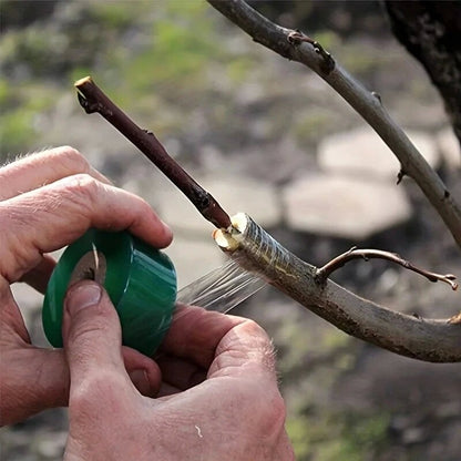 Self Adhesive PE Grafting Tape Stretchable Garden Tree Plants Tape for Seedlings, Vine & Tomato Grafting