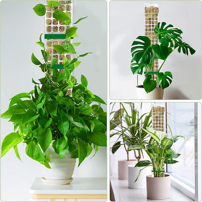 Moss Stick For Plants Growth Durable Climbing Plant Support For Indoor  Outdoor Gardening 5