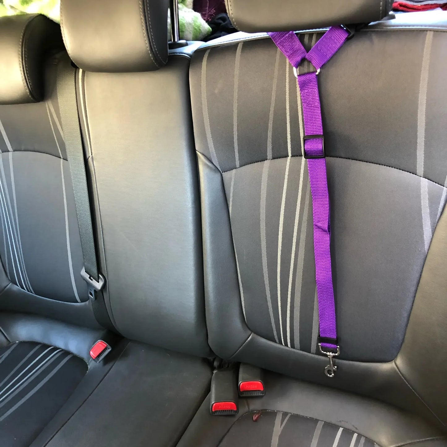 Durable Nylon Lead Leash  Dog Harness TwoinOne Adjustable Pet Car Seat Belt for Safe Backseat Tr