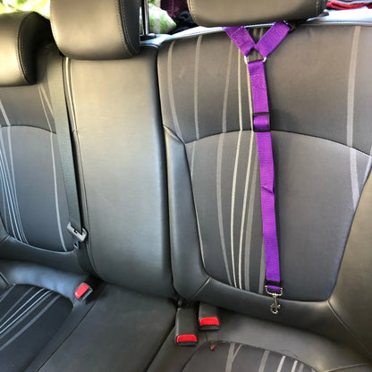 Durable Nylon Lead Leash  Dog Harness TwoinOne Adjustable Pet Car Seat Belt for Safe Backseat Tr