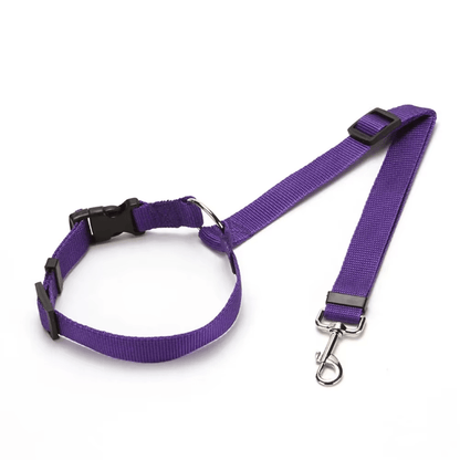 Durable Nylon Lead Leash  Dog Harness TwoinOne Adjustable Pet Car Seat Belt for Safe Backseat Tr