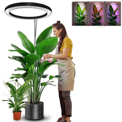 Height Adjustable LED Ring Grow Light Full Spectrum Plant Light for Indoor Plants with USB Power