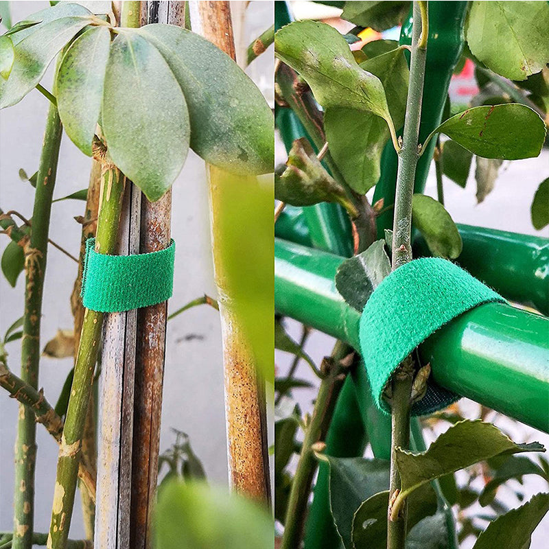 Plant Support Ties 3 Pack Garden Twine For Bamboo Canes  Stakes Gentle Yet Strong Nylon Straps To P 4