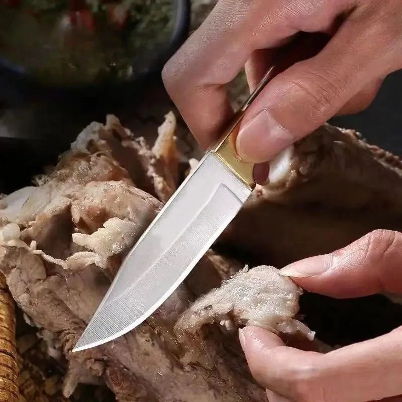 UltraSharp Fruit Knife Outdoor Boning  BBQ Knife  EDC Portable Pocket Knife for Survival Lamb C