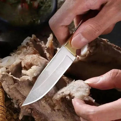 UltraSharp Fruit Knife Outdoor Boning  BBQ Knife  EDC Portable Pocket Knife for Survival Lamb C