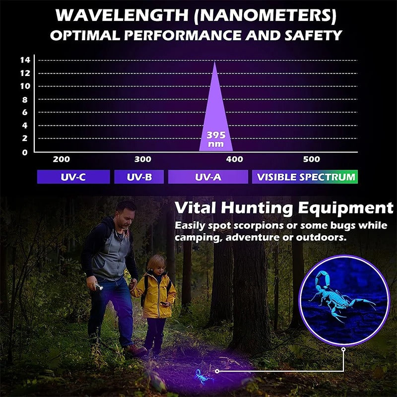 UV Flashlight Blacklight Zoomable USB Rechargeable Ultraviolet Light For Pet Urine Detection Resin