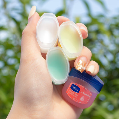 Natural Plant Lip Balm Moisturizing Lipstick AntiCracking Base Moisturizer With Beeswax  Shea Butte
