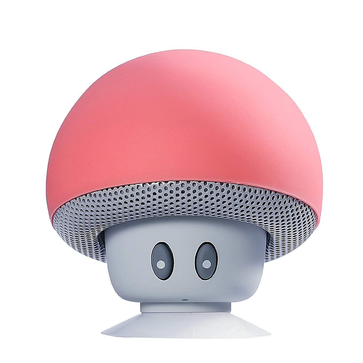 Outdoor Bluetooth Speaker Waterproof Wireless Speaker with Strong Bass & 30ft Range Perfect for Cycling,Beach & Travel